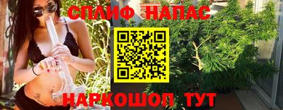 дмт Камышлов