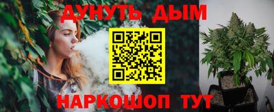 дмт Камышлов
