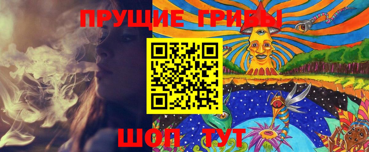 Галлюциногенные грибы GOLDEN TEACHER Кыштым
