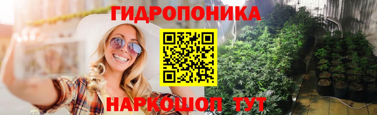 Бошки марихуана семена Кыштым